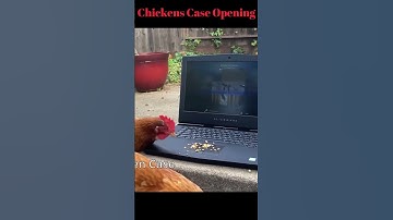Chickens Open Cases in Cs Go 🤣🤣 #shorts