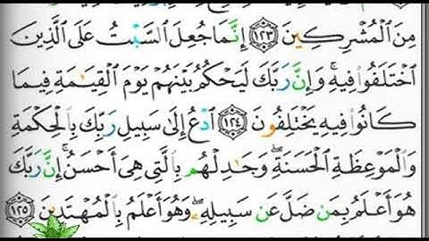 مصحف التجويد صفحة 281 إبراهيم الأخضر 🕋🕋