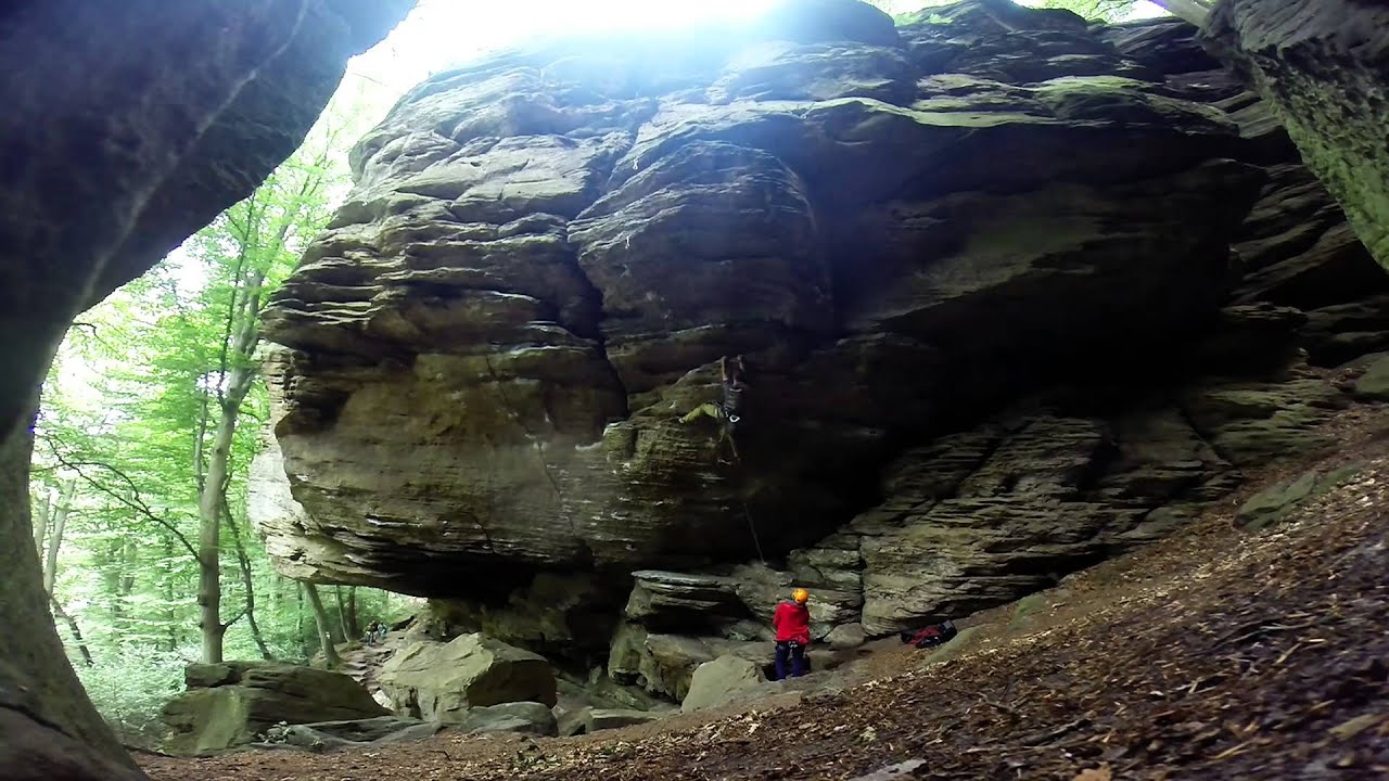 Gincobiloba 7B 8+/9- Berdorf