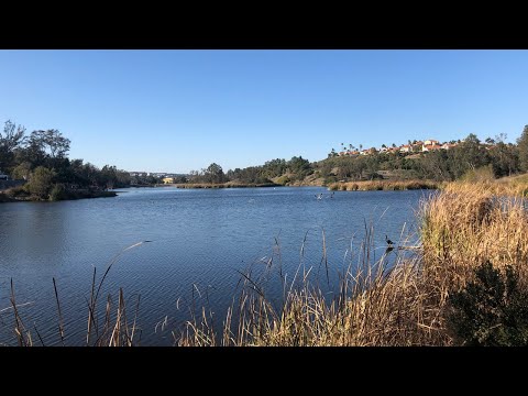 Walking around the