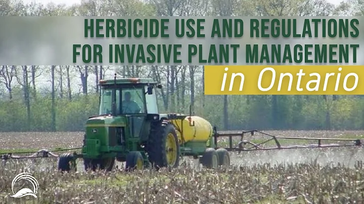 Herbicide Use and Regulations for Invasive Plant Management in Ontario