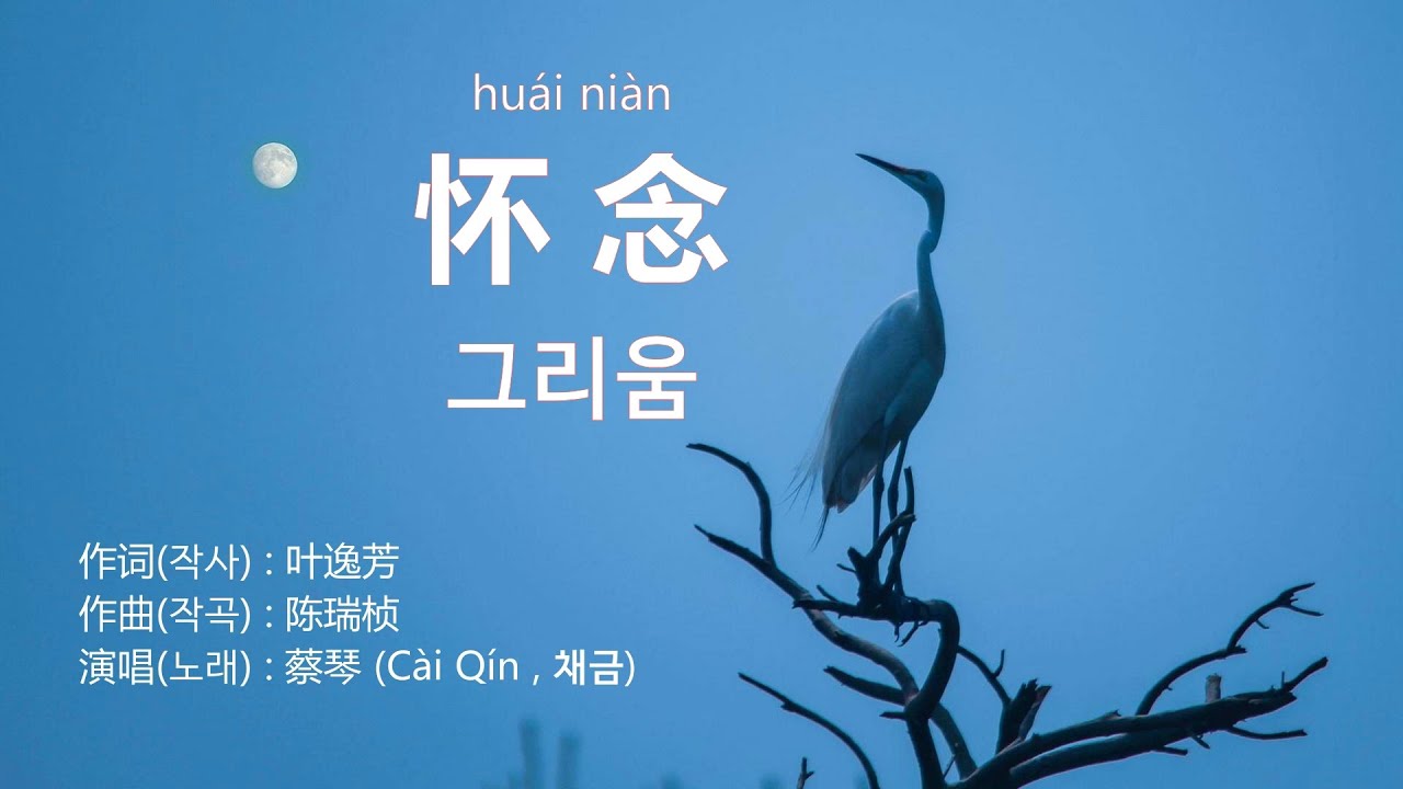 蔡琴(채금) - 怀念 (그리움) + 연주곡 【대만노래 가사번역】