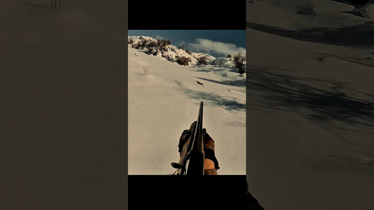 Hunting Rabbits in the Frozen Wilderness 