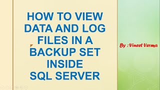How to view Data and Log Files in a Backup Set | SQL Server
