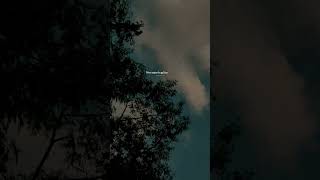 Slowed Reverb Song Raanjhana Ve Lyrics Status