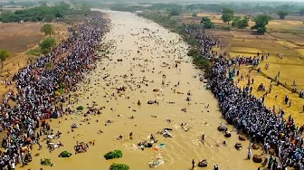 Incredible Moments Caught on Camera
