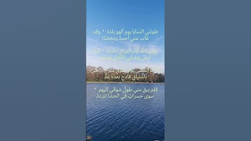 تلاوة عذبة للشيخ ماهر المعيقلي