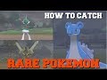 How to catch rare pokemon laprasgallade and doublade in pokemon sword and shield guide