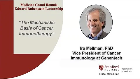 "The mechanistic basis of cancer immunotherapy" | 30 October 2024