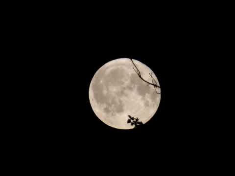 Full moon