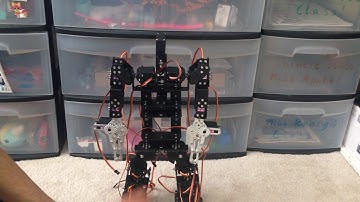 15 dof 17 dof + project robotics experiment.Bad quality kit but making the most of it hope it works!