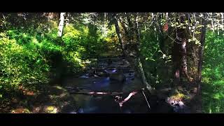 Robbie Rotten Hides K-Fee Creek