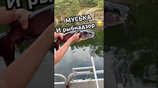 Муська и рыбнадзор. 🎣#рыбалка #прикол #юмор #муська #fishing #рыбнадзор #catfish#сом #funny #fail