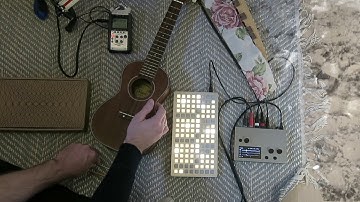 Cheat Codes on Monome Norns/Grid