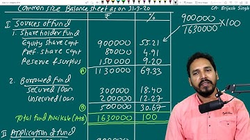 Common size Balance sheet and Income statement for class 12
