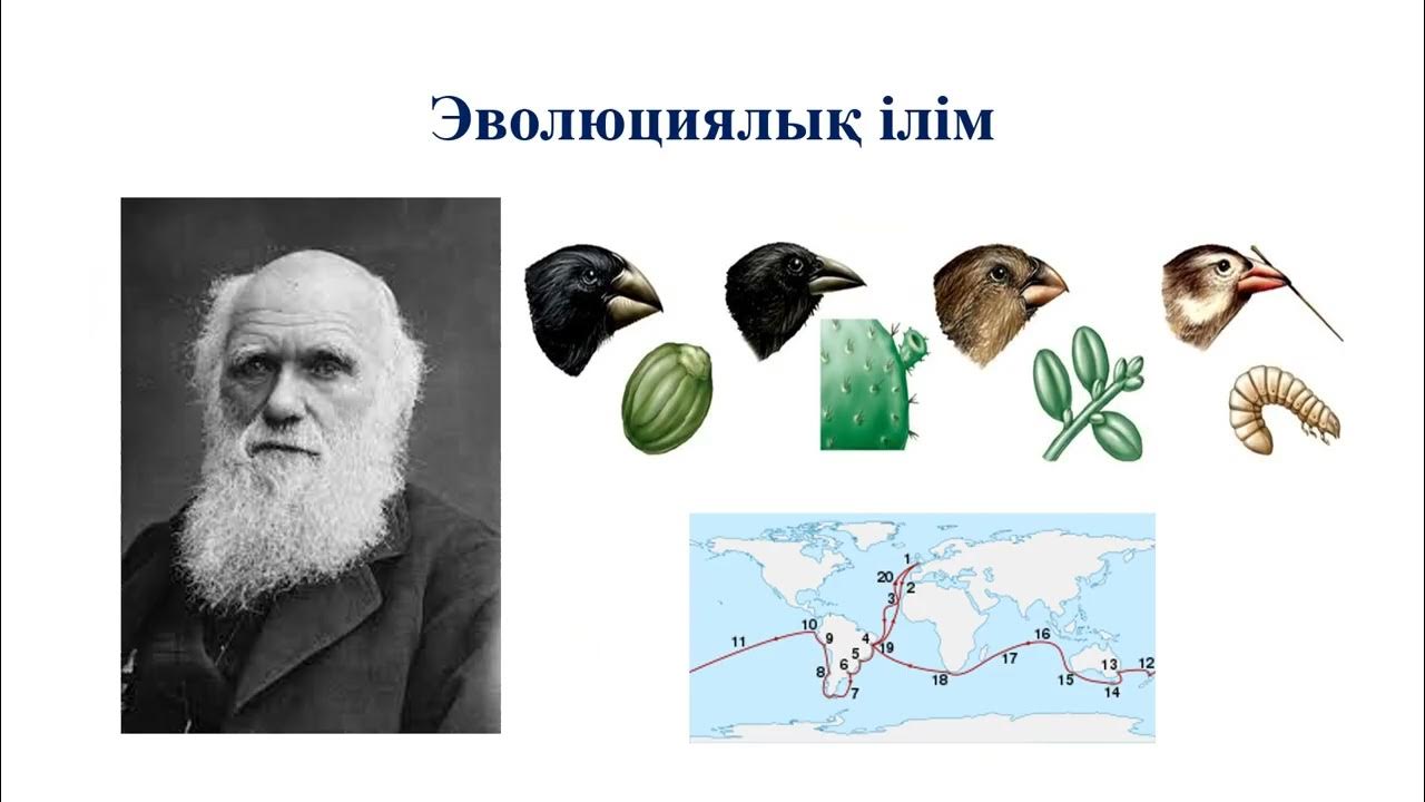 Жалаңаш қыздар