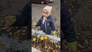 Леденец упал в клумбу,просит новый)) #пери #планетапери #прогулка #дети #досада #Леденец