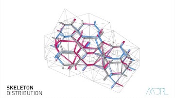AADRL DNA + POLYHEDRA PACKING + 3D GRAPHIC STATICS + COMPRESSION ONLY NETWORKS