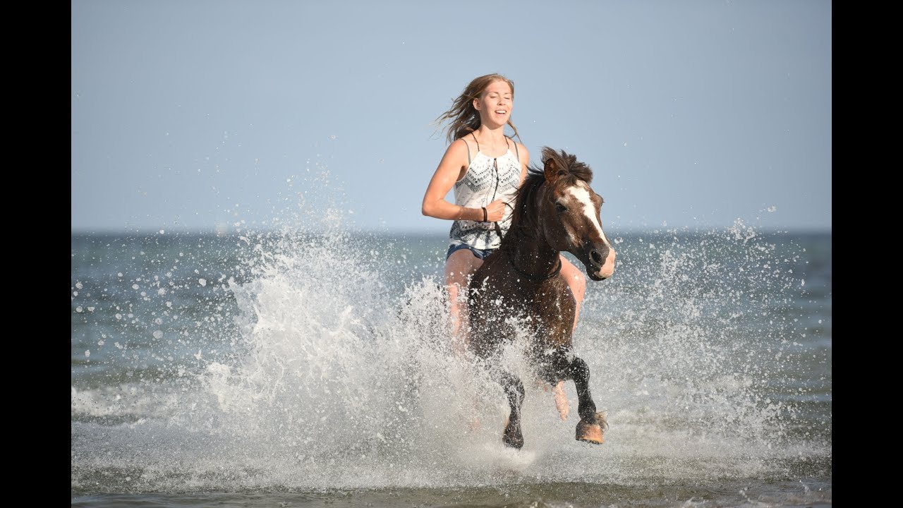Unvergesslicher Ostseeurlaub mit unseren Pferden und Mikasi // Teil 1