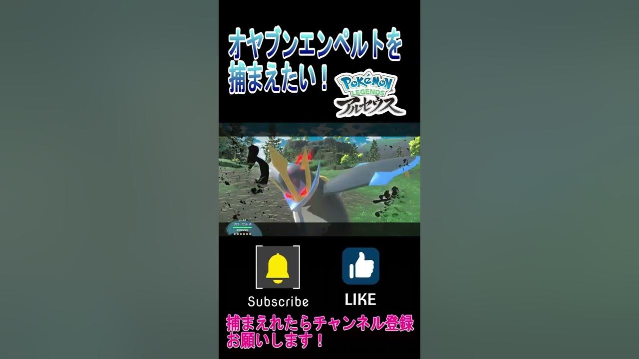レベルが高いオヤブンエンペルトを発見 絶対に捕まえてやる ポケモンレジェンズアルセウス Pokemon Legends アルセウス Shorts Youtube