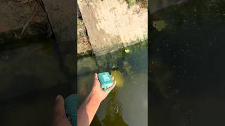 JBL go4 water testing
