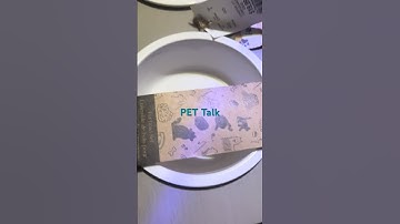 Pet talk 101 dogs 🐕 bowl 🥣 rain coat 🧥