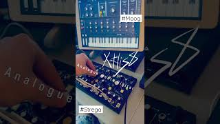 Analogue meets Digital (Strega + Moog) Synth eRock School