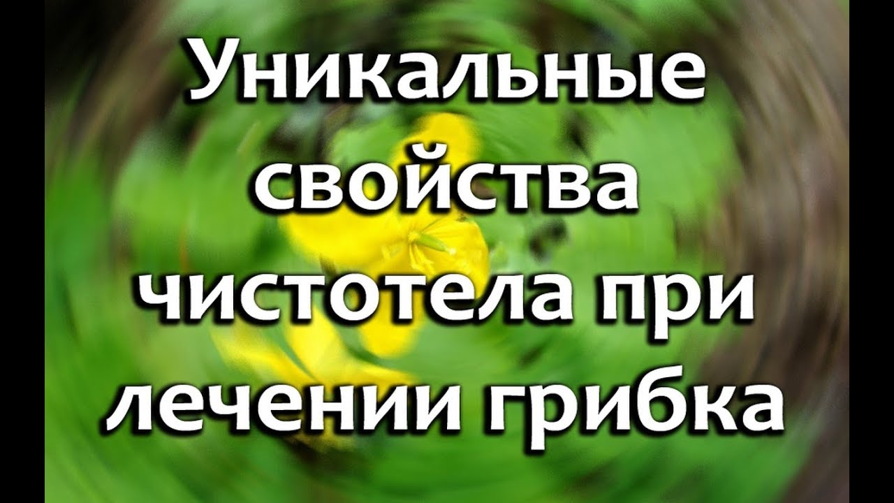 Чистотел от грибка ногтей. Чистотел против грибка ногтей на ногах.