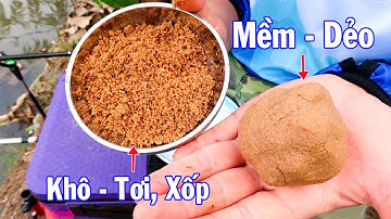 Câu Đài Nghiệp Dư ➣ 2 Cách Pha Mồi Câu Đài Cơ Bản Nhất, Hiệu Quả Nhất