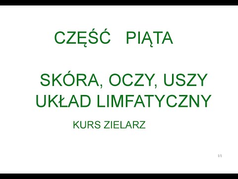 Wideo: Opracowanie Zoomorficznej Próbki Do Badań Stałości Cyfrowych Systemów Rentgenowskich W Radiologii Weterynaryjnej