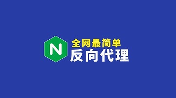 全网最简单的NGINX反代工具 一行命令实现反向代理！SSL证书自动申请 自动续签！