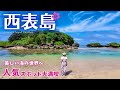 【西表島】石垣島から30分！おすすめ観光スポットご紹介！シュノーケルも大満喫♪（沖縄/由布島/八重山諸島/絶景/グルメ/Iriomote island/Okimawa） #1