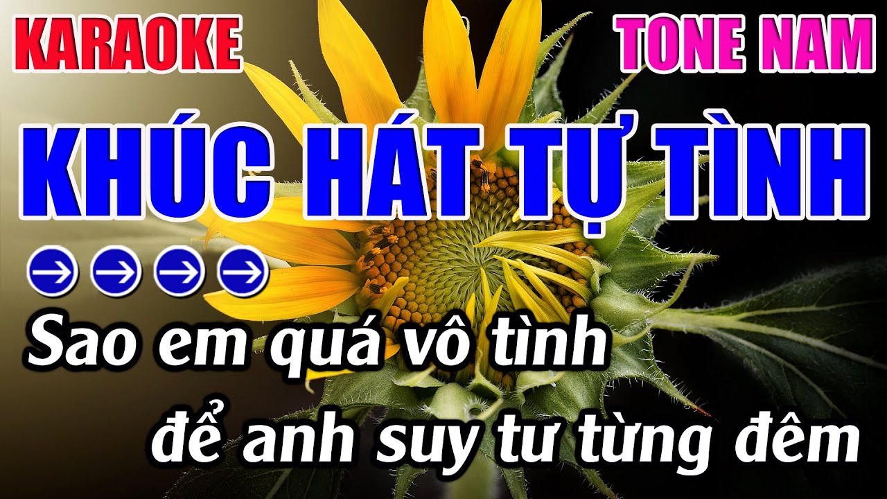 Khúc Hát Tự Tình Karaoke Tone Nam ( Am ) Karaoke 9999 - Beat Mới