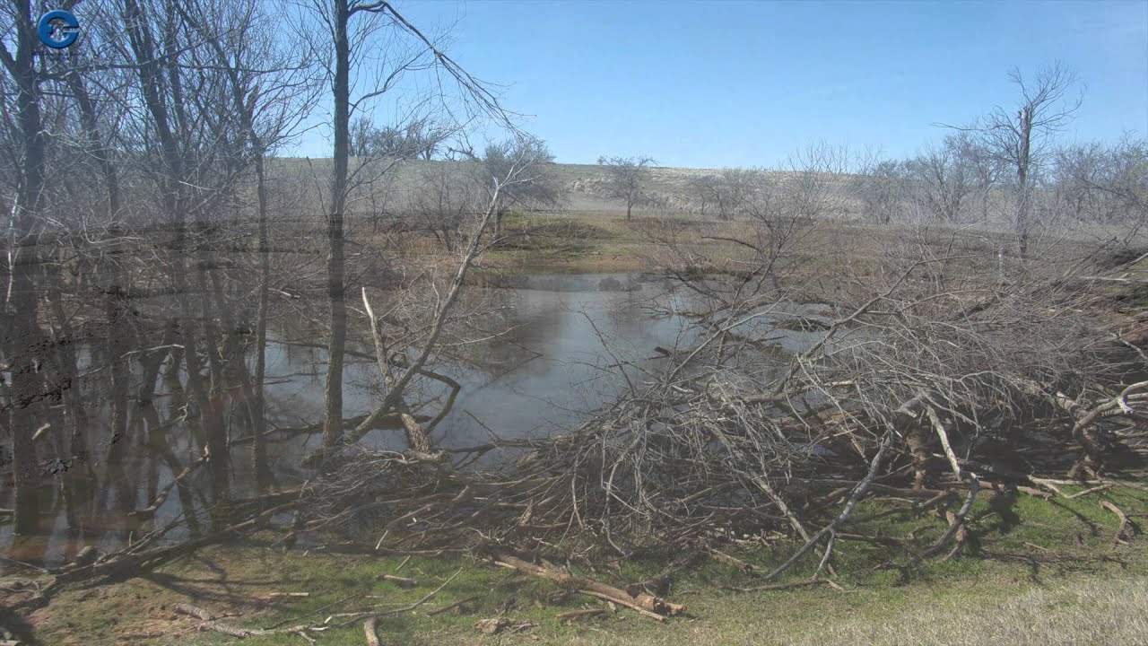 Entz Auction & Realty Land Auction Hydro, OK YouTube