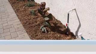 Yelp Santa Monica Affordable Stucco Repair Shafran Construction 310-295-1960
