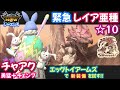 【新装備】卵チャアク vs 緊急☆10リオレイア亜種|エッグトイアームズ|勇猛+チェンジブースト+エッグブースト【モンハンNow日記シーズン5】
