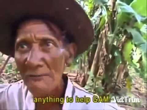 Lagu Aceh Terbaru imum jon nasep peujuang