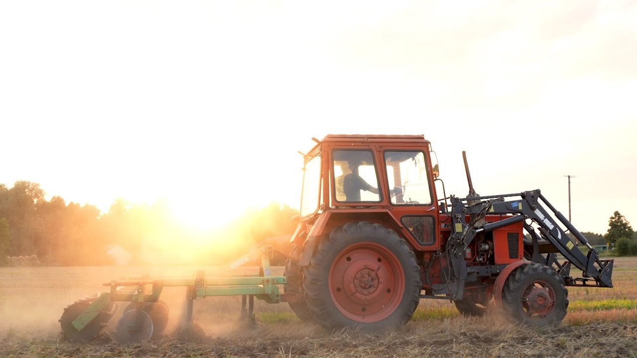 Gruberowanie Mtz 82... C330 w akcji🚜