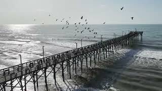 Summer in Surf City NC - Aug 2026
