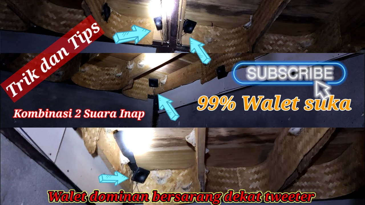 TRIK DAN TIPS PEMASANGAN TWEETER INAP KOMBINASI 2 SUARA, WALET SUKA BERSARANG DEKAT TWEETER....