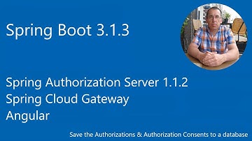 Spring Authorization - Server Spring Cloud Gateway -  Save Authorization  & Consents to a Database