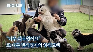 'I've decided to close due to guilt... Please help...' | Pocheon Breeding Farm EP.1