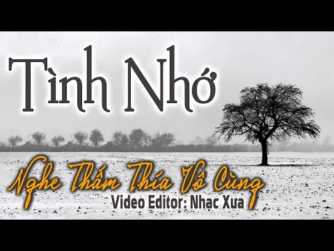 Video Tình Nhớ - Nhạc Xưa Bất Hủ Nghe Mà Thấm Thía Vô Cùng |... - youtube