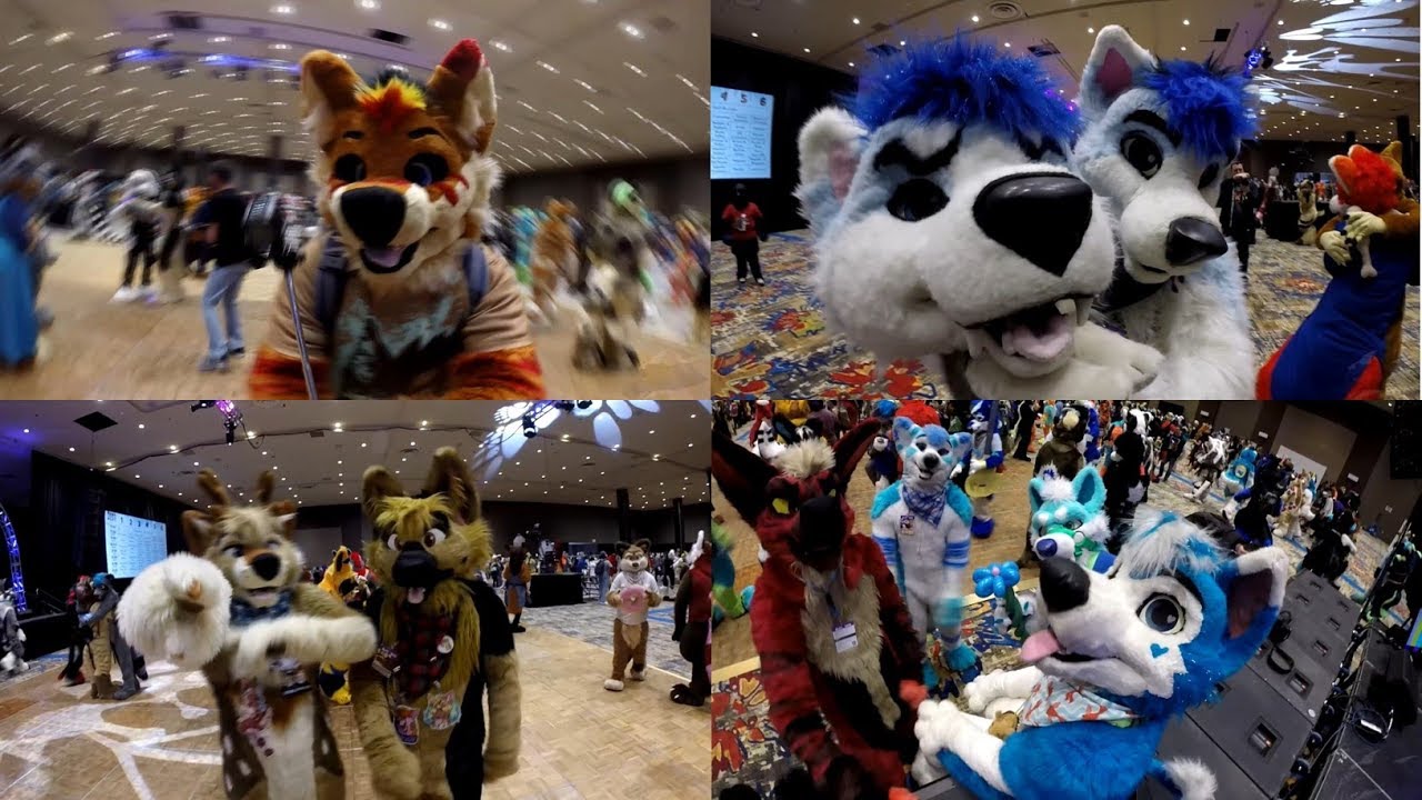 BLFC2018: Fursuit Festival