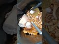Похід до лісу 
