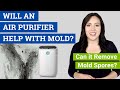 Will an Air Purifier Help with Mold? (Can it Remove Mold Spores?)