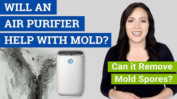 Will an Air Purifier Help with Mold? (Can it Remove Mold Spores?)