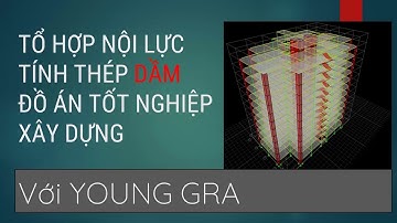 #1. Tổ hợp nội lực | tính thép dầm với YOUNG GRA liên kết ETABS