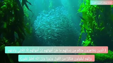 الاية الثانية من سورة المجادلة مكرره ٥مرات للإتقان بصوت الشيخ ايمن سويد(الذين يظاهرون منكم..)