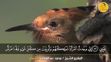 مقطع تصويري بصوت المقرئ الشيخ /محمد الشماع / لما تيسر من سورة النمل